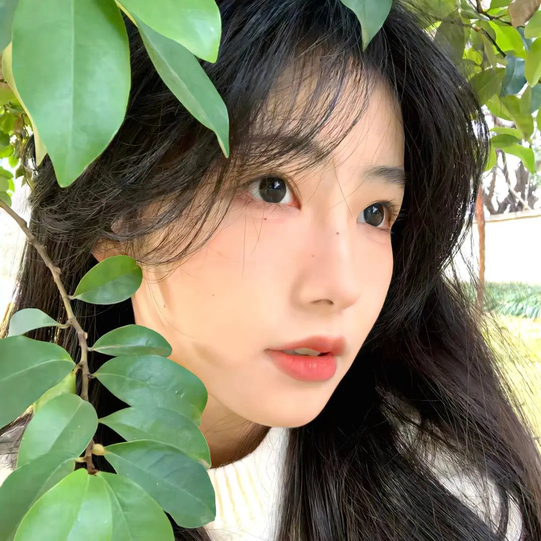 长生秘闻